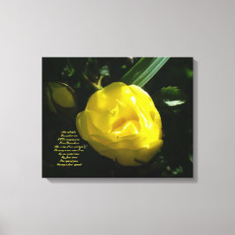 Impressão Em Tela Como Luz Suave em uma Rosa Amarela