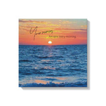 Compaixões São Novos Todas As Manhãs Belo Sol