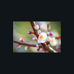 Impressão Em Tela Composição Floral Das Flores De Apricot Japonesas<br><div class="desc">Os galhos de damascos japoneses são cobertos com várias flores brancas contra o fundo da cor verde-escura. Uma pintura digital muito grande a partir de uma fotografia. Impressão floral esticada de tela para decorar seu lugar ou para ser usada como presente em casamentos, aniversários, chás de fraldas ou qualquer outro...</div>