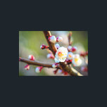 Impressão Em Tela Composição Floral Das Flores De Apricot Japonesas<br><div class="desc">Os galhos de damascos japoneses são cobertos com várias flores brancas contra o fundo da cor verde-escura. Uma pintura digital muito grande a partir de uma fotografia. Impressão floral esticada de tela para decorar seu lugar ou para ser usada como presente em casamentos, aniversários, chás de fraldas ou qualquer outro...</div>
