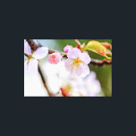 Impressão Em Tela Composição Floral Natural Das Flores Sakura<br><div class="desc">Composição artística floral natural de flores, botões, folhas de sakura contra o fundo liso de cor verde, rosa pálido, branca. Uma pintura digital muito grande a partir de uma fotografia. Impressão floral esticada de tela para decorar seu lugar ou para ser usada como presente em casamentos, aniversários, chás de fraldas...</div>