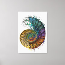 Conceito Ammonite Fóssil em Corante de Tinta Vibra