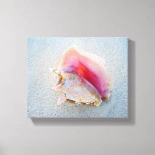 Impressão Em Tela Conch Shell da rainha na praia de Bahamas