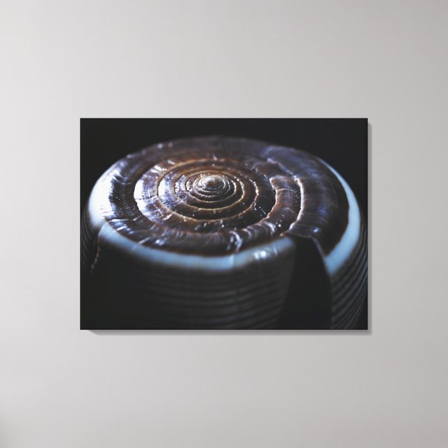 Impressão Em Tela Concha de Cone (Frente)