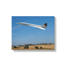 Concorde na hora de colheita