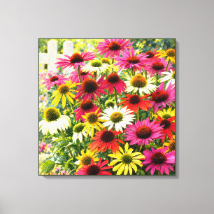 Impressão Em Tela Coneflowers Radiantes em um Jardim de Verão