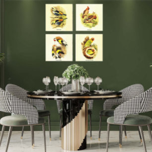 Impressão Em Tela Conjunto de Arte da Galeria de Aves Audubon