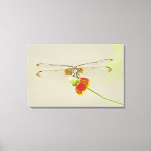 Impressão Em Tela Conjunto Xadrezado (Dythemis fugax) no México