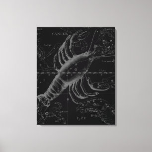 Impressão Em Tela Constelação de cancer Hevelius 1690 Decor