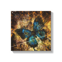 Contemplando O Efeito Da Borboleta