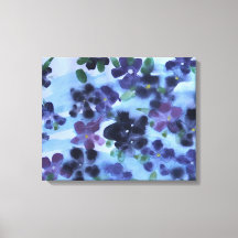 Cor da Água Violeta Púrpura Africana