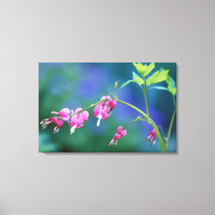 Impressão Em Tela Corações sangrando rosa no jardim. Crédito como: