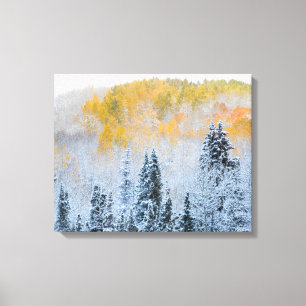 Impressão Em Tela Cores de Outono de Aspens & Neve Fresca Keebler Pa