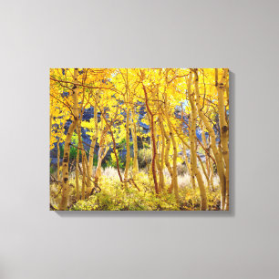 Impressão Em Tela Cores de queda das árvores de Aspen 3