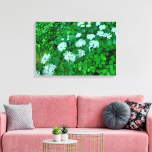 Impressão Em Tela Cornus sanguinea