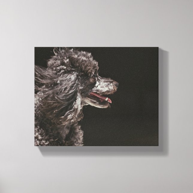 Impressão Em Tela Coroa (Frente)