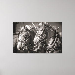 Impressão Em Tela Coroa belga