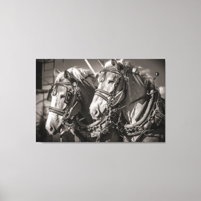 Impressão Em Tela Coroa belga (Frente)