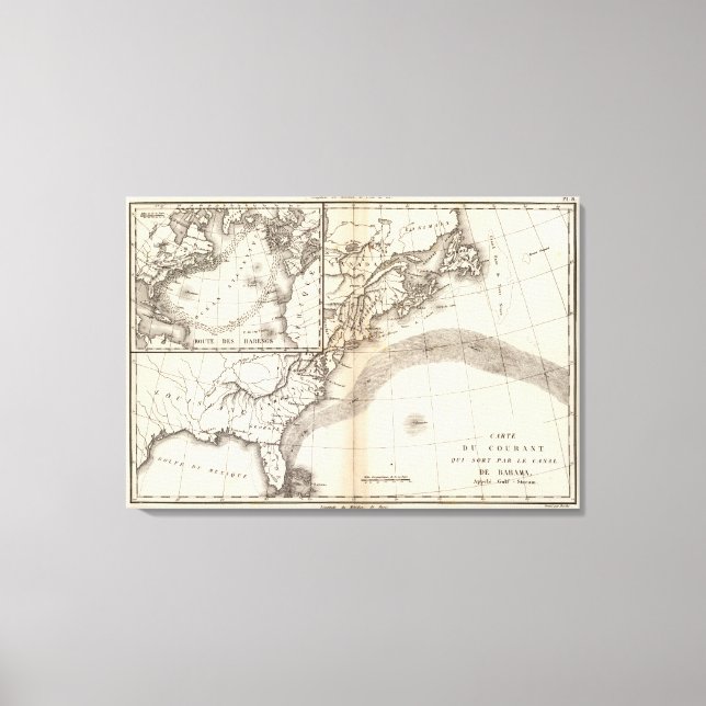 Impressão Em Tela Corrente do Golfo (Frente)