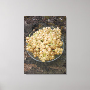 Impressão Em Tela Correntes Brancas Orgânicas Do Jardim