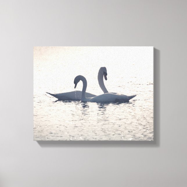 Impressão Em Tela Cortejando a natureza dos cisnes (Frente)