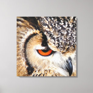 IMPRESSÃO EM TELA CORUJA