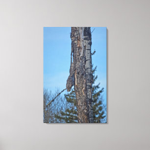 Impressão Em Tela Coruja e Excelente selvagem de árvores camufladas