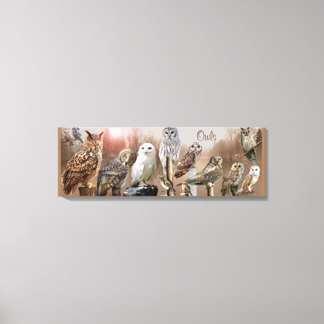Impressão Em Tela Corujas (Frente)