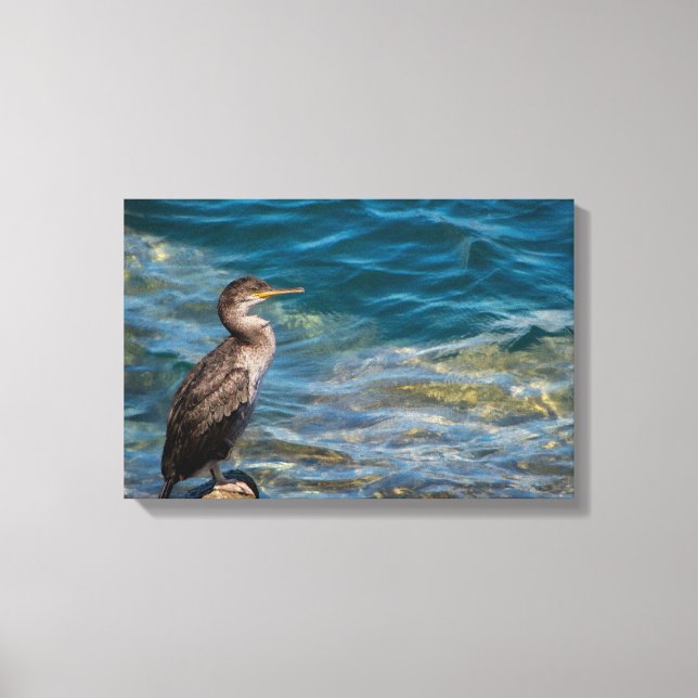 Impressão Em Tela Corvo-excelente Nas Rochas (Frente)