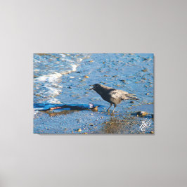 Impressão Em Tela Corvo na Baía de Motim