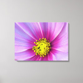Impressão Em Tela Cosmos Rosa