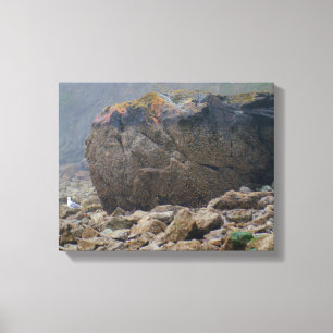 Impressão Em Tela Costa, praia rochosa, pedra, costa, única