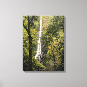 Impressão Em Tela Costa Rica, Ilha do Coco, Cachoeira da Baía Wafer
