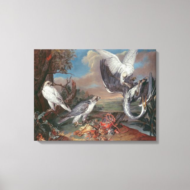 Impressão Em Tela Cr. Falcões da Gronelândia (Frente)