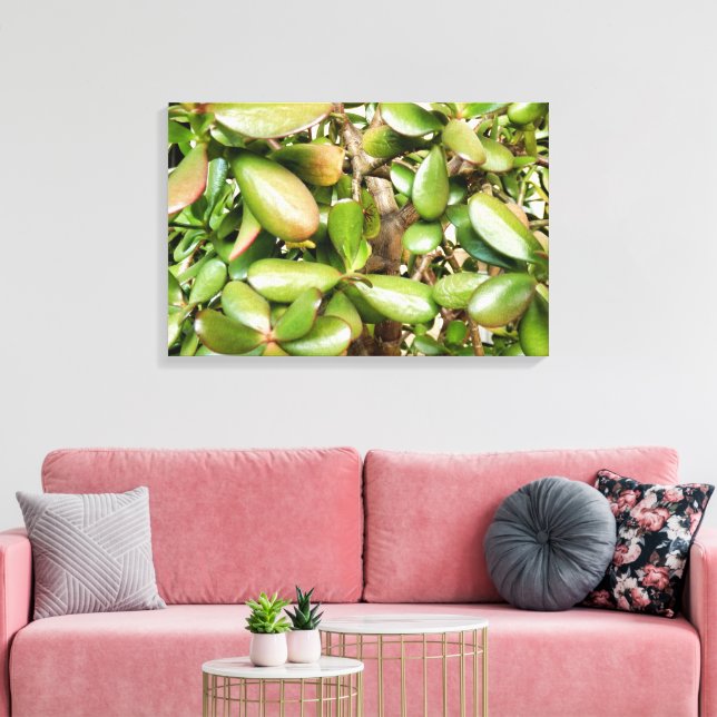Impressão Em Tela Crassula ovata (Insitu(Sala de estar))