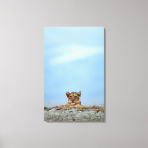 Impressão Em Tela Cratera de Ngorongoro, Tanzânia