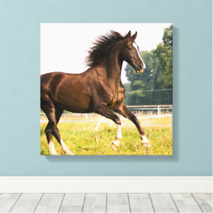 Impressão Em Tela Crie a Foto do Seu Cavalo de Estimação Personaliza