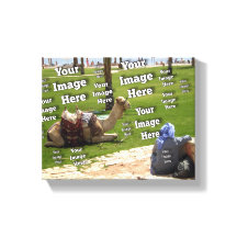 🤍 Crie seu próprio Modelo personalizado