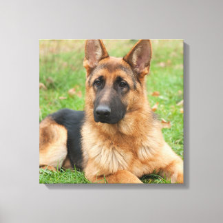 Impressão Em Tela Crie Sua Própria Foto Personalizada de Animal de E