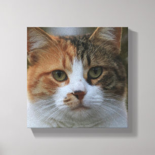 Impressão Em Tela Crie Sua Própria Foto Personalizada de Gato de Est