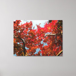 Impressão Em Tela Crimson Myrtle #2