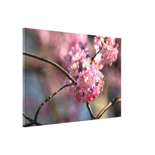 Impressão Em Tela Crisscruzou Os Torneiros Da Árvore Sakura No Jardi