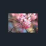 Impressão Em Tela Crisscruzou Os Torneiros Da Árvore Sakura No Jardi<br><div class="desc">Crisscruzou os galhos de uma sakura em primavera. Flores de cereja em forma de globo. Dia ensolarado no jardim da primavera. A maravilhosa elegância da estação de primavera. Uma pintura digital muito grande a partir de uma fotografia. Impressão floral esticada de tela para decorar seu lugar ou para ser usada...</div>