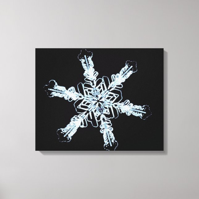 Impressão Em Tela Cristal de neve estelar (Frente)