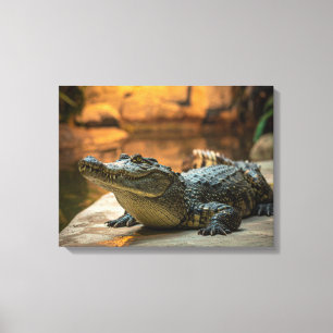 Impressão Em Tela Crocodilo