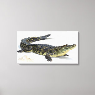 Impressão Em Tela Crocodilo