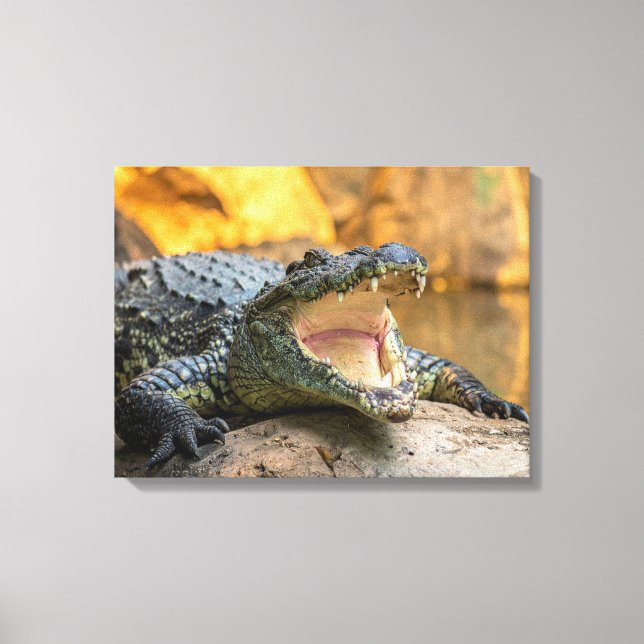 Impressão Em Tela Crocodilo com a boca aberta (Frente)