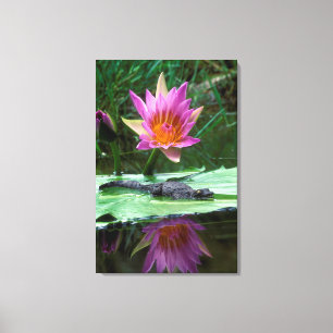 Impressão Em Tela Crocodilo Nilo (Crocodilo Niloticus)