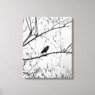 Impressão Em Tela Crow em uma Árvore de Birch