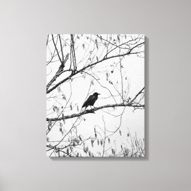 Impressão Em Tela Crow em uma Árvore de Birch (Frente)